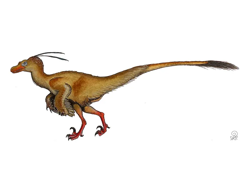 A painting of a feathered Velociraptor walking, with long feathers on its arms and tail